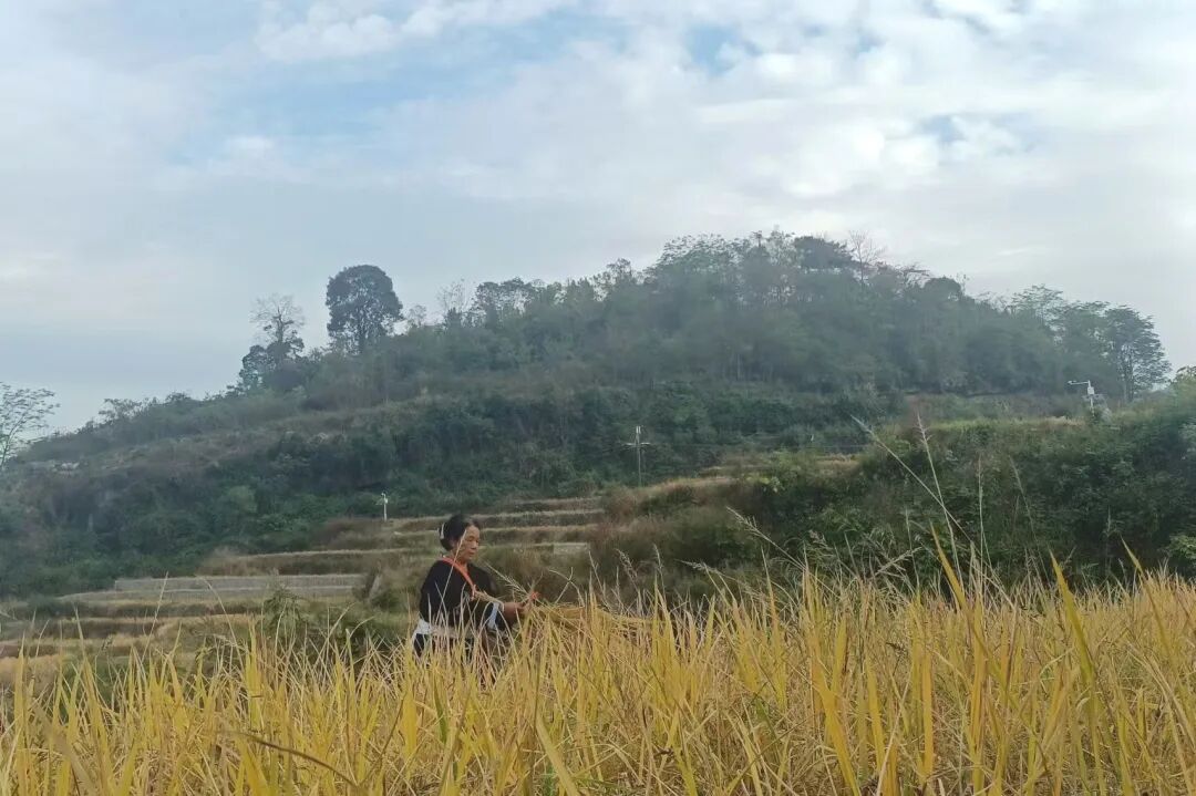 002.jpg