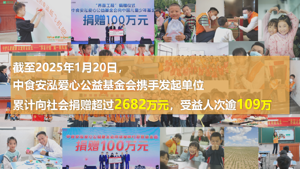 守初心 创未来｜中食安泓爱心公益基金会2024年度回顾